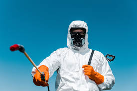 Best Bee and Wasp Removal  in Rolling Hills, CA